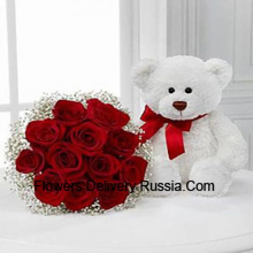 11 Rosas Rojas con un Lindo Oso de Peluche de 14 Pulgadas