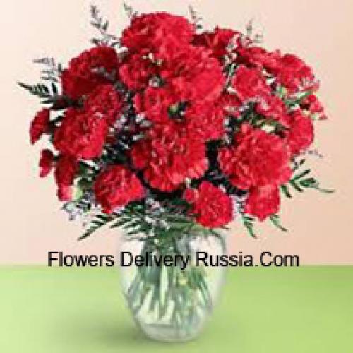 37 Red Cute Carnations