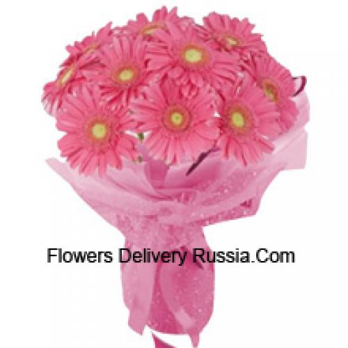 11 Pink Gerberas hand Bunch