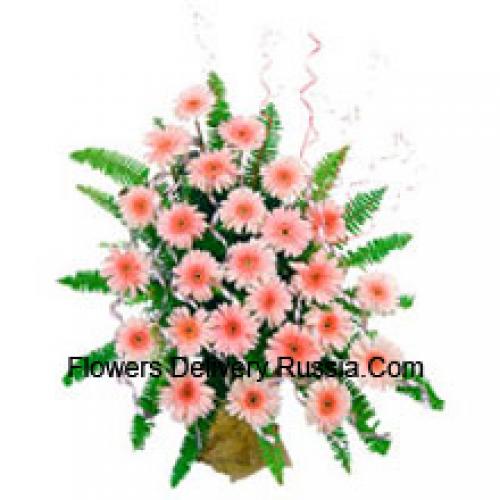 25 Cute Pink Gerberas