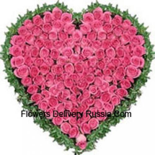 101 Rosas Rosadas en Forma de Corazón