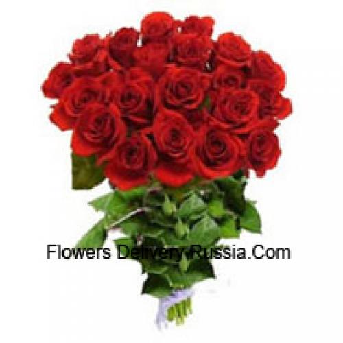 25 Deslumbrantes Rosas Rojas