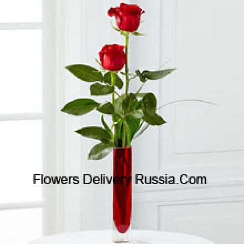 2 Dolci Rose Rosse in Vaso