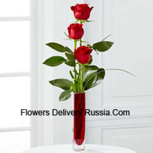 3 Cute Red Roses